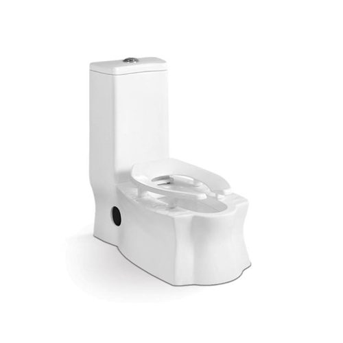 Washdown toilet sanitery ware 8053